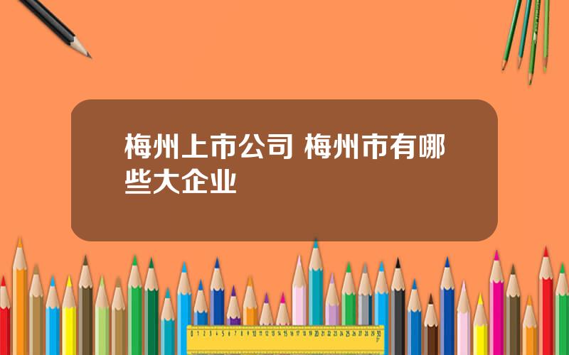 梅州上市公司 梅州市有哪些大企业